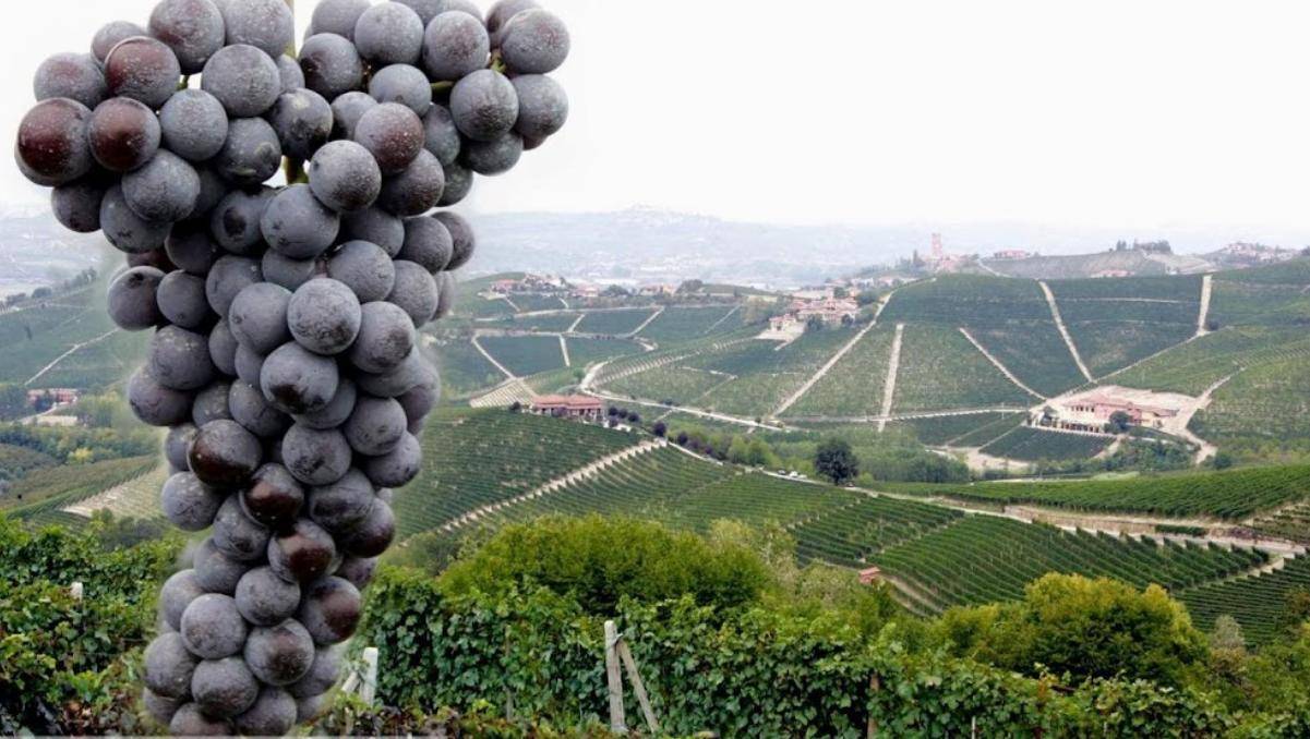 尤文图斯足球俱乐部2025/26赛季第三球衣曝光