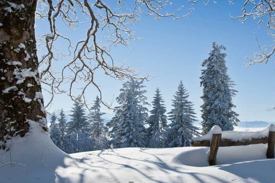 田径选手刻苦训练突破自我